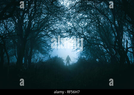 Eine gespenstische Lone vermummte Gestalt in einer unheimlichen misty Winter Forest mit einem dunklen Stummgeschaltet bearbeiten. Stockfoto