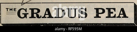 . 1902 Jahr Buch: Alles für den Hof und Garten. Baumschulen Massachusetts Worcester Kataloge; Gemüse; Blumen Samen Samen Kataloge Kataloge; Gräser, Samen Kataloge; landwirtschaftliche Arbeitsgeräte Kataloge. ROSS BRÜDER' jährlicher Katalog. 17. @F alle Sorten von Gemüse, die für viele Jahre nichts eingeführt wurden, hat sich in der Popularität früher als der Gradus Erbse entstanden, und nichts hat mehr verdient. Sowohl die Hülsen und Erbsen sind fast so groß wie das Telefon, und es reift mit oder sehr eng mit der Alaska und andere zusätzliche earlies. Seine Qualität ist der Beste, fast Stockfoto