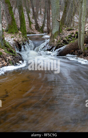 Ein kleiner Fluss zwischen Bäumen mit einem kleinen Wasser Grad fließt. Das Flussbett durch einen Laubwald. Jahreszeit Winter. Stockfoto
