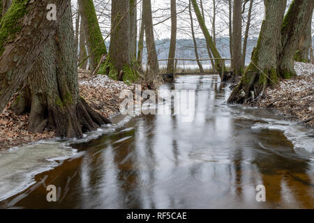 Ein kleiner Fluss zwischen Bäumen mit einem kleinen Wasser Grad fließt. Das Flussbett durch einen Laubwald. Jahreszeit Winter. Stockfoto