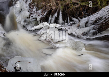 Ein kleiner Fluss zwischen Bäumen mit einem kleinen Wasser Grad fließt. Das Flussbett durch einen Laubwald. Jahreszeit Winter. Stockfoto