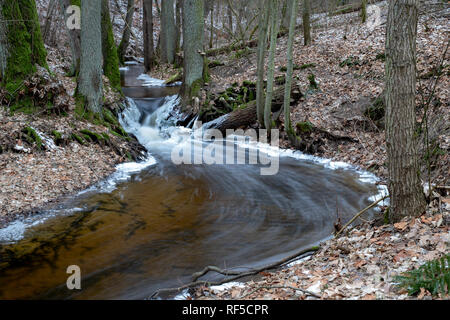 Ein kleiner Fluss zwischen Bäumen mit einem kleinen Wasser Grad fließt. Das Flussbett durch einen Laubwald. Jahreszeit Winter. Stockfoto