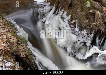 Ein kleiner Fluss zwischen Bäumen mit einem kleinen Wasser Grad fließt. Das Flussbett durch einen Laubwald. Jahreszeit Winter. Stockfoto
