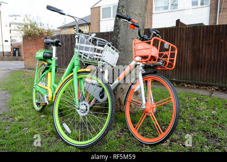 Kalk-E und Mobike Fahrradverleih Fahrräder unter einem Baum in Brentford, London, UK aufgegeben Stockfoto