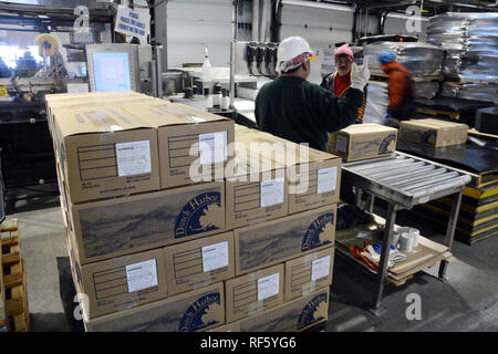 Fisch pflanze Arbeitnehmer Verpackung gefroren Pollock Verrundungen an den UniSea Meeresfrüchte in Dutch Harbor, Unalaska Island, Alaska, USA. Stockfoto