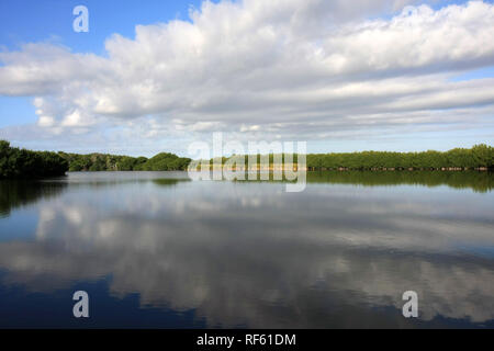 Cloudscape, spiegelt sich in den stillen Wassern des Paurotis Teich in den Everglades National Park, Florida. Stockfoto