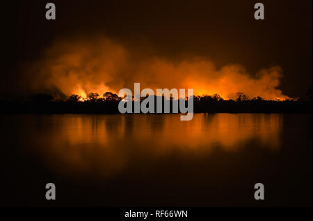 Feuer ist ein wichtiger Teil der Ökologie der Savanne Ökosysteme; es hält die Balance zwischen Gräser und Bäume im Kafue National Park, Sambia Stockfoto