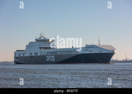 Hoek van Holland, Niederlande - 20 Januar 2019: Auto Schiff fähre DFDS Seaways Gardenia segeln ausserhalb des Hafens Rotterdam Vergangenheit Hoek van Hollan Stockfoto