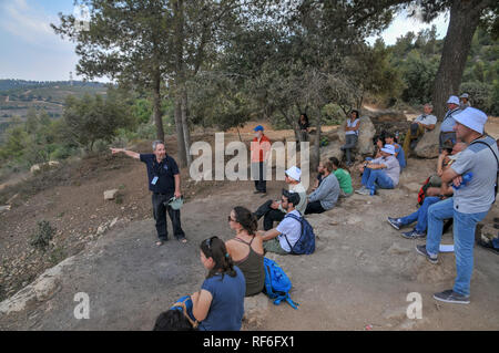 Wissenschaftliche tour, MedPine 6 mediterrane Ökosystem Wald: Forstwirtschaft, Ökologie, Naturschutz, und die menschliche Nutzung der 6. Internationalen Konferenz Oktober 2018 Stockfoto