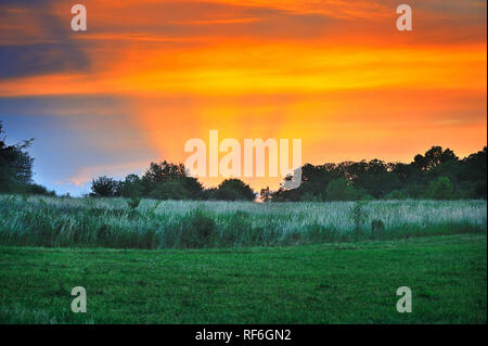Schönen bunten Sonnenuntergang über das grüne Feld Stockfoto
