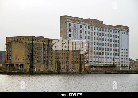 Die ehemalige Rank Hovis Premier Mill und Millennium Mühlen verfallene Mühle Gebäude in West Silvertown auf der Südseite des Royal Victoria Dock Stockfoto