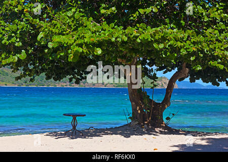 Einladende Sandstrand mit einer Tabelle unter großen Sea grape Baum, St. Thomas, USVI. Stockfoto