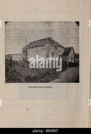 . Beschreibender Katalog, 1902. Baumschulen Washington (State) Kataloge; Gemüse; Blumen Samen Samen Kataloge Kataloge; landwirtschaftliche Arbeitsgeräte Kataloge. . Bitte beachten Sie, dass diese Bilder sind von der gescannten Seite Bilder, die digital für die Lesbarkeit verbessert haben mögen - Färbung und Aussehen dieser Abbildungen können nicht perfekt dem Original ähneln. extrahiert. Puget Sound Baumschule und Seed Co; Henry G. Gilbert Baumschule und Saatgut Handel Katalog Kollektion. Seattle, Washington: Puget Sound Baumschule und Seed Co. Stockfoto