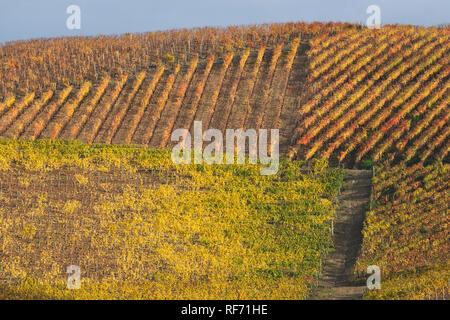 Blick auf den Hügeln von Asti, Weinberge, mit den Farben des Herbstes Stockfoto