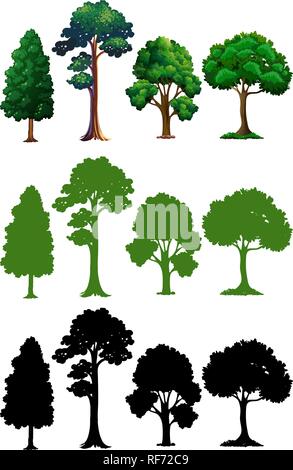 Satz von anderen Baum Abbildung Stock Vektor