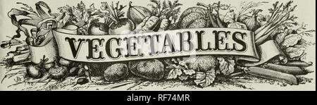 . Illustrierte Saatgut und floralen Katalog: 1902. Baumschulen Louisiana New Orleans Kataloge; Blumen Samen Samen Kataloge Kataloge; Gemüse; Pflanzen, Zierpflanzen, Obst Kataloge Kataloge. Wir kommen zu Ihnen in diesem Jahr mit einem wertvollen Vorschlag. Wir bieten unseren Kunden mehrere Tausend Dollar i.e. durch reduzierte Preise, die Differenz der Kosten zwischen einer phantastischen Cata-logue, für die Sie zahlen müsste und diese Ebene Buch. Sie werden in diesem Katalog Alles für den Garten finden, ich Feld- und Obstgarten, und alles, was der Besten, wie wir für die letzten twent}^ Jahren geschickt haben. Wir haben die Großen Stockfoto
