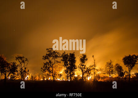 Feuer ist ein wichtiger Teil der Ökologie der Savanne Ökosysteme; es hält die Balance zwischen Gräser und Bäume im Kafue National Park, Sambia Stockfoto