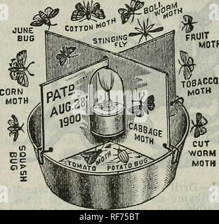 . 1902 Gemüse, Blumen, Körner & Amp; Früchte: 22. jährlichen Katalog/Ford Seed Co. Baumschulen Ohio Kataloge; Gemüse; Blumen Samen Samen Kataloge Kataloge; Obst Kataloge. CLEMATi*^ JACKMANH, eine Falle, die Traps.. Alle schädigenden Insekten, die durch die Nacht fliegen sind - durch Licht tracted. Dieses Gerät ist so gebaut, dass, wenn die Motten und Käfer durch das Licht der Fackel, die Sie gegen die Catcher Streik angezogen und in die Pfanne unter, in dem sich ein wenig Kero-sene Öl oder starken Seifenlauge, die sie tötet. Es ist viel billiger, den übergeordneten Insekten als die Würmer zu töten, zu fangen, Stockfoto