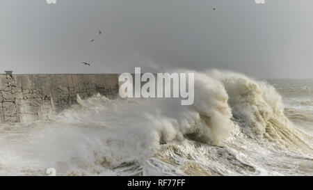 Atemberaubende Wellen über Hafen Wand während des windigen Sturm auf Phillip Island auf der englischen Küste Stockfoto
