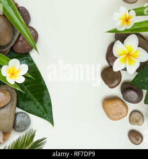 Spa Hintergrund mit grünen Blättern, Blumen und weißen Blumen Stockfoto