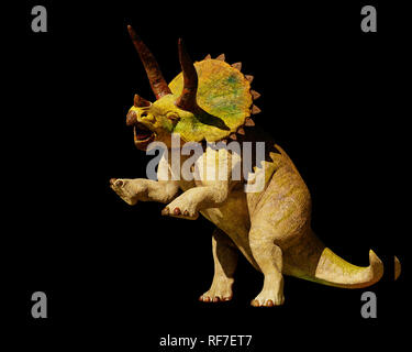 Triceratops horridus Dinosaurier in Aktion (3D-Rendering auf schwarzem Hintergrund isoliert) Stockfoto