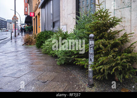 Weihnachten ist vorbei, Weihnachten Bäume gedumpten & auf einem Bürgersteig, Brunnenstraße, Mitte, Berlin verlassen Stockfoto