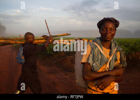 Kaffee picker Arbeitnehmer posieren für ein Portrait Auf einen Kaffee Immobilien am Fuße des Mount Mulanje Massiv, im südlichen Bezirk, Malawi. Kaffee ist ein zentrales Cash crop. Stockfoto