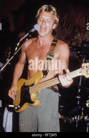 Die Polizei UK Rock Gruppe mit Sting in 1979. Foto: Jeffrey Mayer Stockfoto