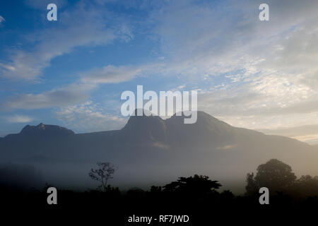Mount Mulanje Massif, der höchste Berg in Süd- Afrika, Malawi, macht eine atemberaubende Kulisse für die Teeplantagen auf Base. Stockfoto