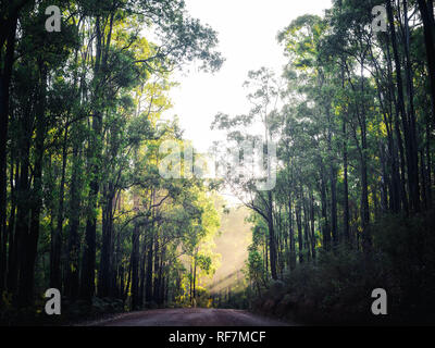 Dwellingup, Western Australia Stockfoto