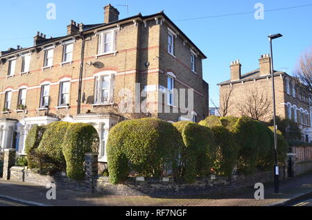 Hecken schneiden in der Form von Elefanten in Feld Absicherung im Norden von London N4 UK Stockfoto