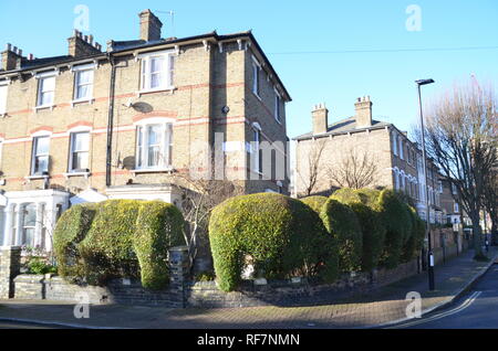 Hecken schneiden in der Form von Elefanten in Feld Absicherung im Norden von London N4 UK Stockfoto