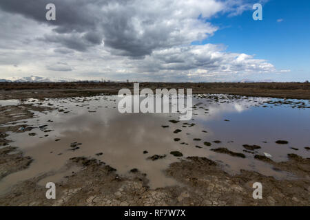 Feuchtgebiete um Urmia-see, West Aserbaidschan Provinz Urmia, Iran Stockfoto