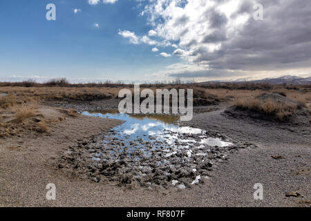 Feuchtgebiete um Urmia-see, West Aserbaidschan Provinz Urmia, Iran Stockfoto