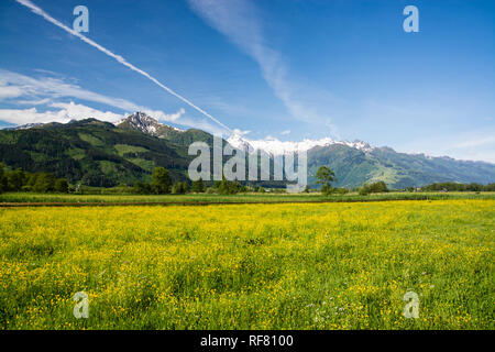 Zell am See ist eine Gemeinde im österreichischen Salzburg, Zell am See ist eine Stadtgemeinde im österreichischen Land Salzburg. Stockfoto