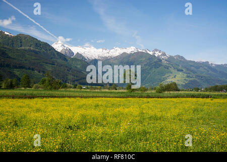 Zell am See ist eine Gemeinde im österreichischen Salzburg, Zell am See ist eine Stadtgemeinde im österreichischen Land Salzburg. Stockfoto