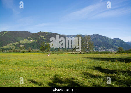 Zell am See ist eine Gemeinde im österreichischen Salzburg, Zell am See ist eine Stadtgemeinde im österreichischen Land Salzburg. Stockfoto