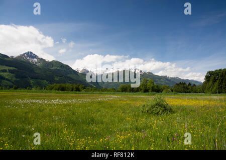 Zell am See ist eine Gemeinde im österreichischen Salzburg, Zell am See ist eine Stadtgemeinde im österreichischen Land Salzburg. Stockfoto