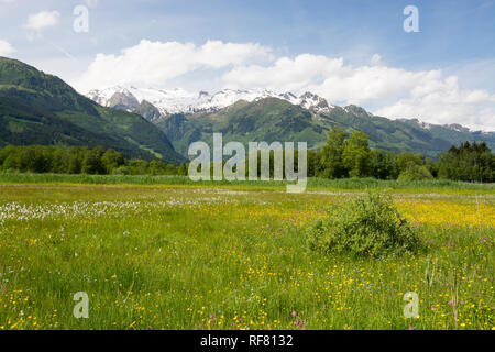 Zell am See ist eine Gemeinde im österreichischen Salzburg, Zell am See ist eine Stadtgemeinde im österreichischen Land Salzburg. Stockfoto