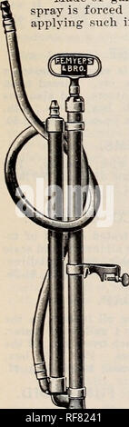 . Thorburn's Samen: 1900. Baumschulen New York (State) Kataloge Kataloge; Samen; Gemüse; Blumen Samen Samen Kataloge Kataloge. . Bitte beachten Sie, dass diese Bilder sind von der gescannten Seite Bilder, die digital für die Lesbarkeit verbessert haben mögen - Färbung und Aussehen dieser Abbildungen können nicht perfekt dem Original ähneln. extrahiert. J. M. Thorburn &Amp; Co; Henry G. Gilbert Baumschule und Saatgut Handel Katalog Kollektion. New York: J. M. Thorburn &Amp; Co. Stockfoto