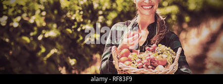 Porträt von glücklich Bäuerin hält einen Korb mit Gemüse Stockfoto