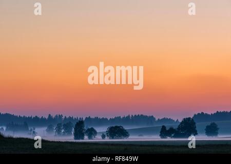 Sonnenaufgang mit bodennebel über Allgäuer Hügeln, Füssen, Allgäu, Bayern, Deutschland Stockfoto