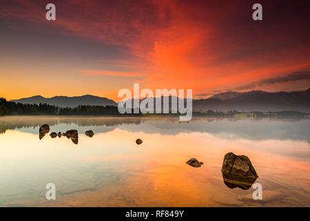 Forggensee mit Reflexion der bewölkten Himmel und die Allgäuer Berge im Hintergrund bei Sonnenaufgang, Füssen, Allgäu, Bayern Stockfoto