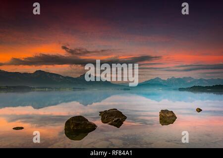 Forggensee mit Reflexion der bewölkten Himmel und die Allgäuer Berge im Hintergrund bei Sonnenaufgang, Füssen, Allgäu, Bayern Stockfoto