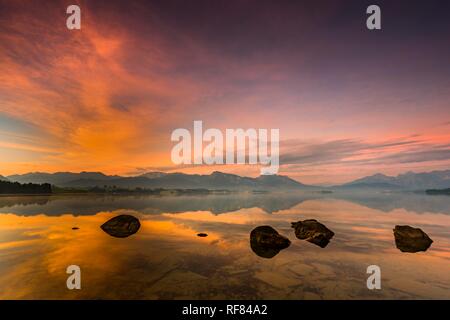 Forggensee mit Reflexion der bewölkten Himmel und die Allgäuer Berge im Hintergrund bei Sonnenaufgang, Füssen, Allgäu, Bayern Stockfoto