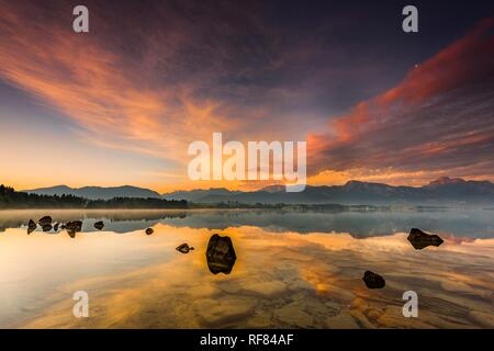 Forggensee mit Reflexion der bewölkten Himmel und die Allgäuer Berge im Hintergrund bei Sonnenaufgang, Füssen, Allgäu, Bayern Stockfoto