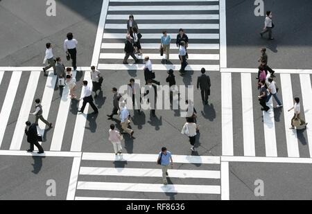 JPN, Japan, Tokio: große Fußgängerzone crosswalk, Harumi Dori Street und Sotobori Dori, Ginza Stockfoto