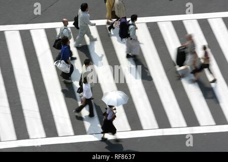 JPN, Japan, Tokio: große Fußgängerzone crosswalk, Harumi Dori Street und Sotobori Dori, Ginza Stockfoto