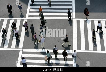 JPN, Japan, Tokio: große Fußgängerzone crosswalk, Harumi Dori Street und Sotobori Dori, Ginza Stockfoto