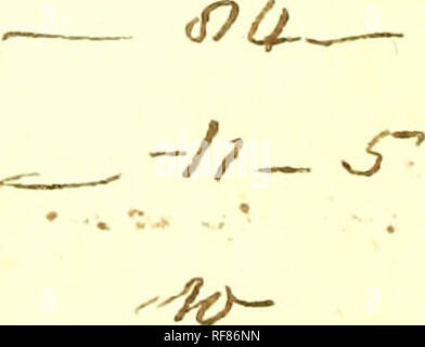 . Ein Katalog des Portland Museum: In letzter Zeit die Eigenschaft der Herzogin Dowager von Portland verstorben, die versteigert werden, von Herrn Skinner und Co. am Montag, den 24. April 1786, und die 37 folgenden Tage... Sonntag, den 5. Juni ... vorbehalten... Zoologische Proben; Kunst Objekte; Muscheln. . Bitte beachten Sie, dass diese Bilder sind von der gescannten Seite Bilder, die digital für die Lesbarkeit verbessert haben mögen - Färbung und Aussehen dieser Abbildungen können nicht perfekt dem Original ähneln. extrahiert. Portland, Margaret Cavendish Holles Harley, Herzogin von Stockfoto